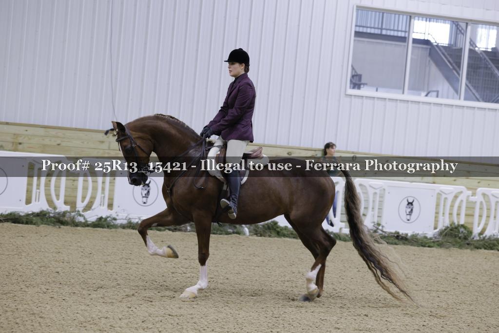 Proof Number 25R13_15421