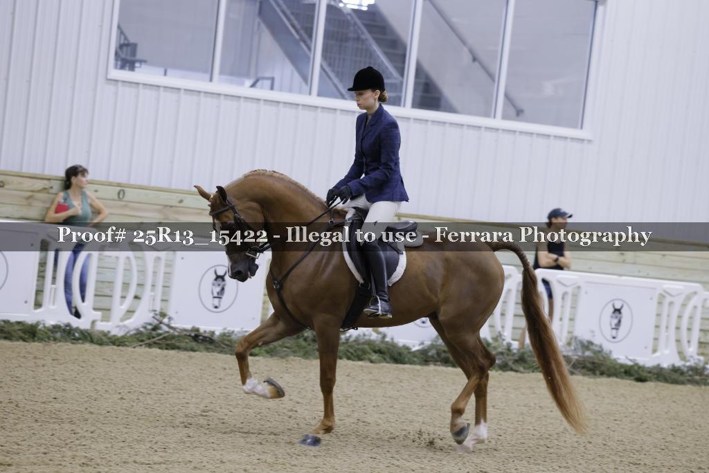Proof Number 25R13_15422