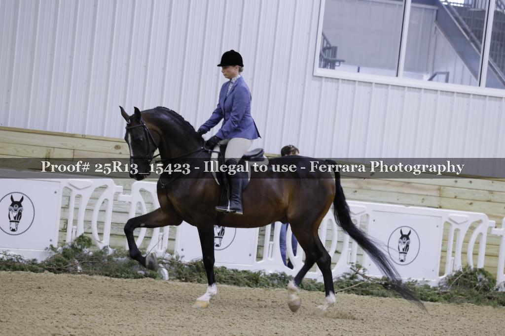 Proof Number 25R13_15423