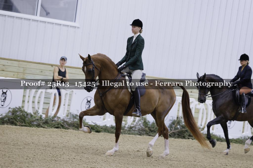 Proof Number 25R13_15425