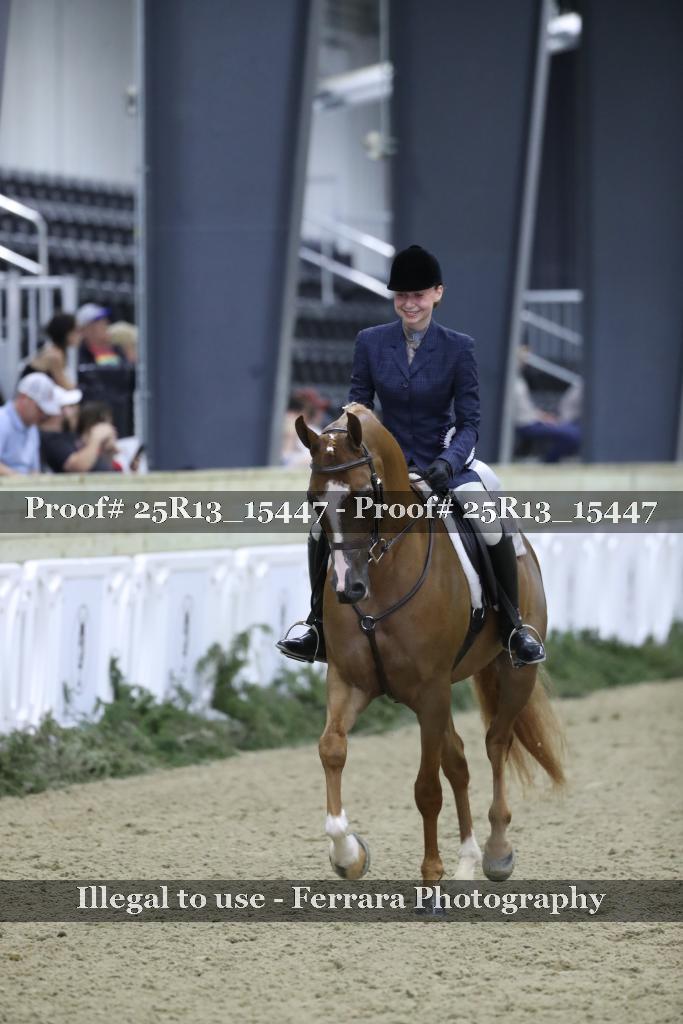 Proof Number 25R13_15447