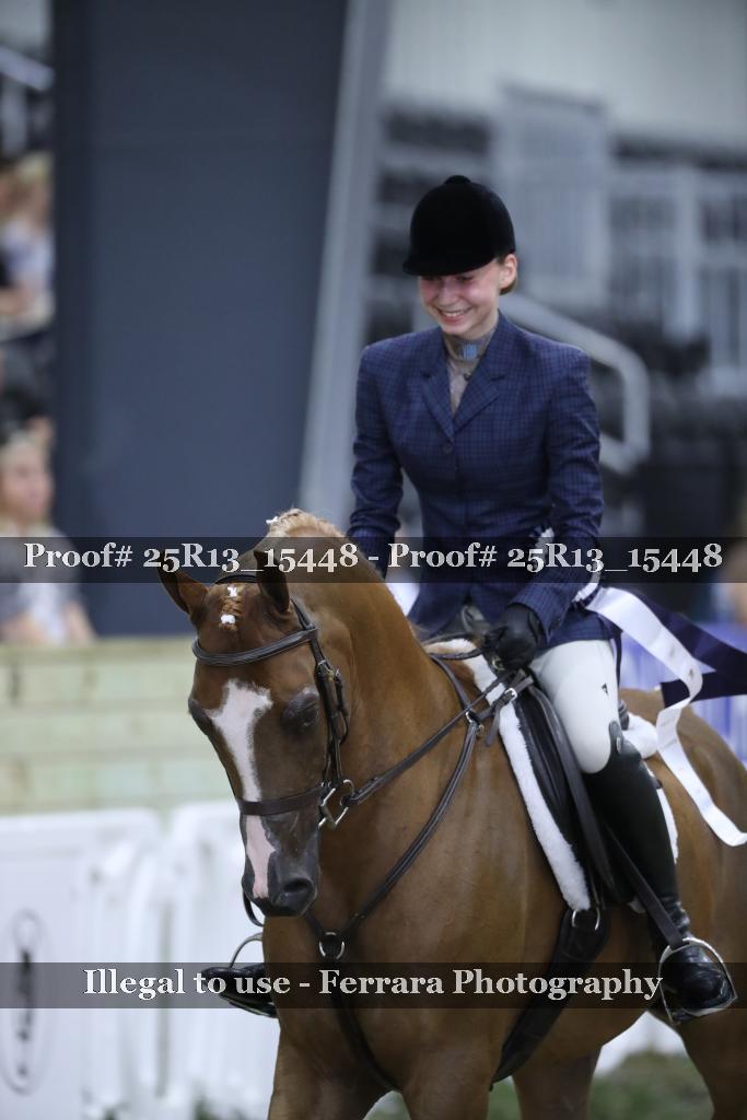 Proof Number 25R13_15448