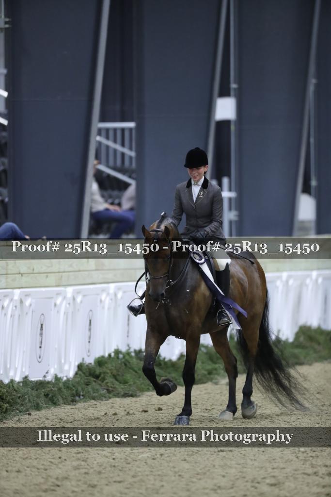 Proof Number 25R13_15450