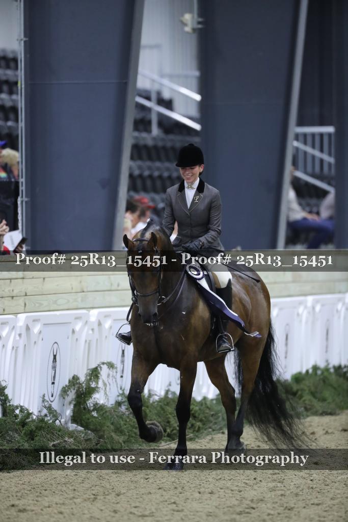 Proof Number 25R13_15451