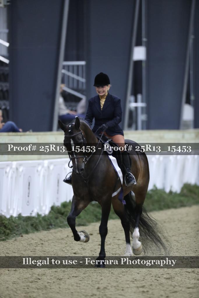 Proof Number 25R13_15453