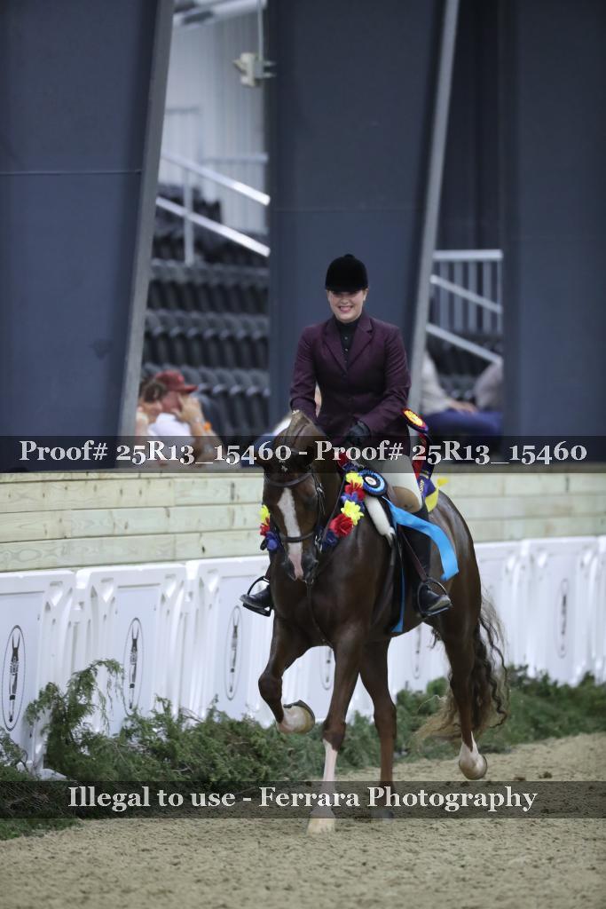Proof Number 25R13_15460