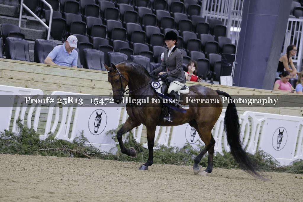Proof Number 25R13_15472