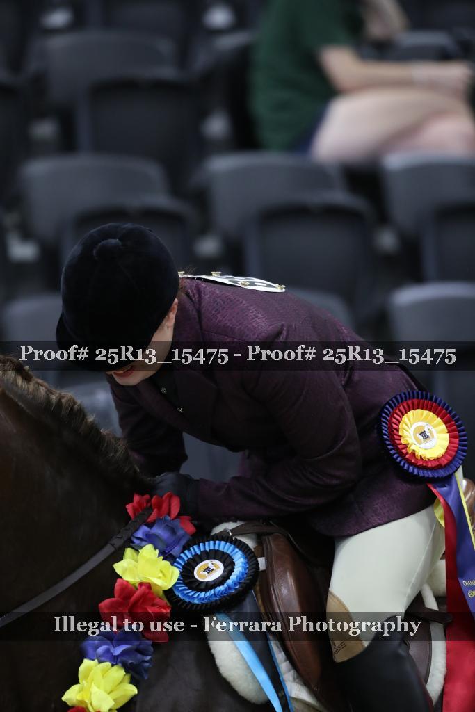 Proof Number 25R13_15475