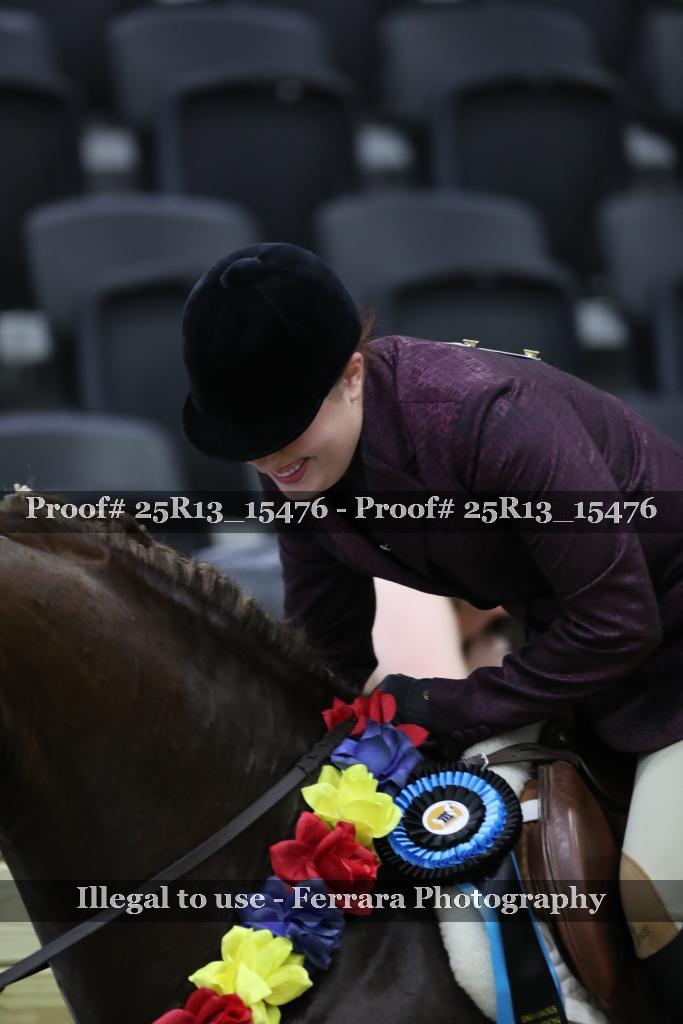 Proof Number 25R13_15476