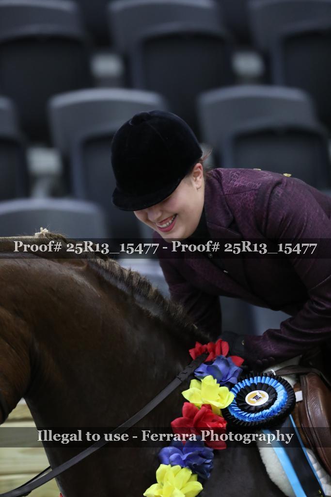 Proof Number 25R13_15477