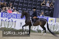 25R13_15481 thumbnail