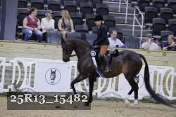 25R13_15482 thumbnail