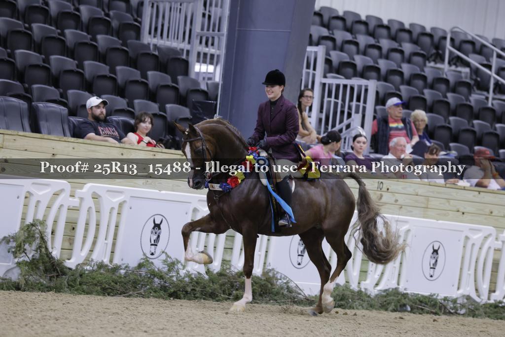 Proof Number 25R13_15488
