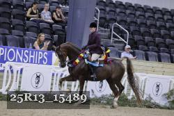 25R13_15489 thumbnail