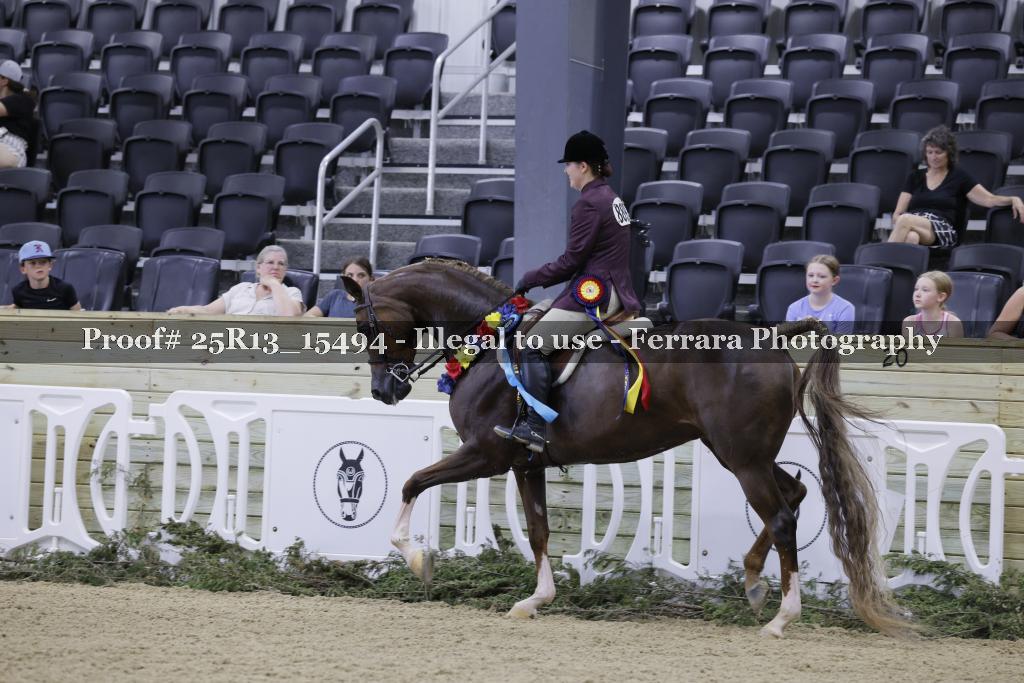Proof Number 25R13_15494