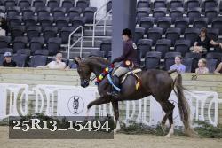 25R13_15494 thumbnail