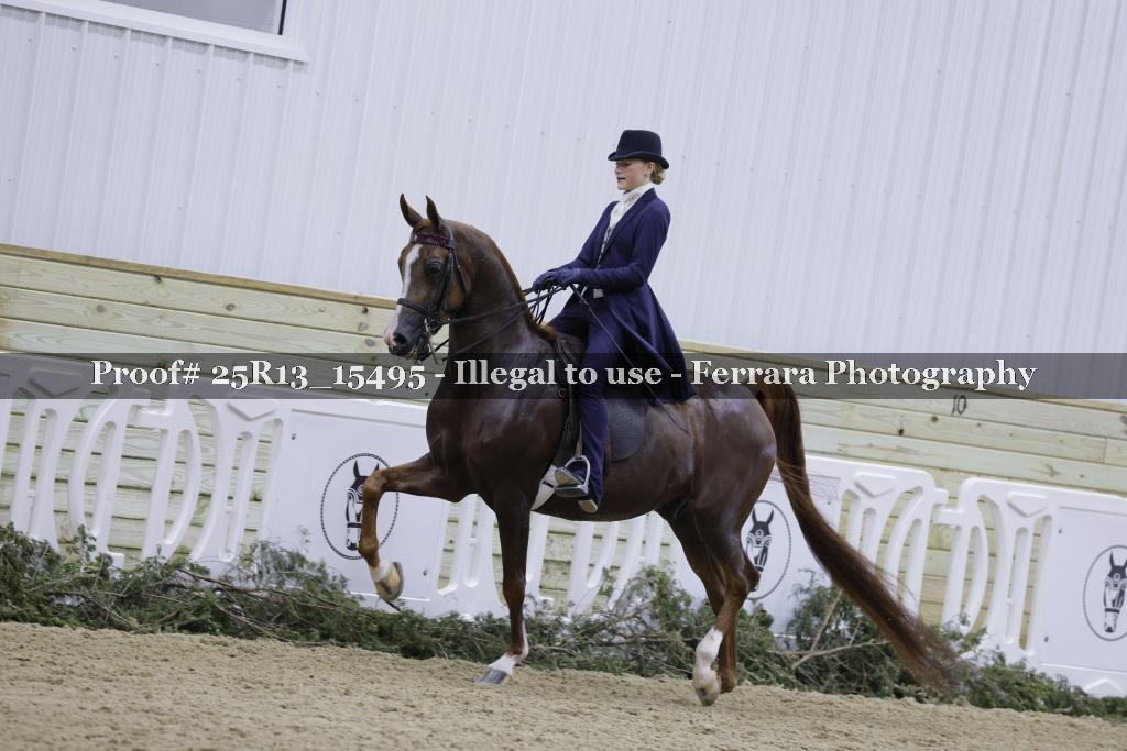 Proof Number 25R13_15495