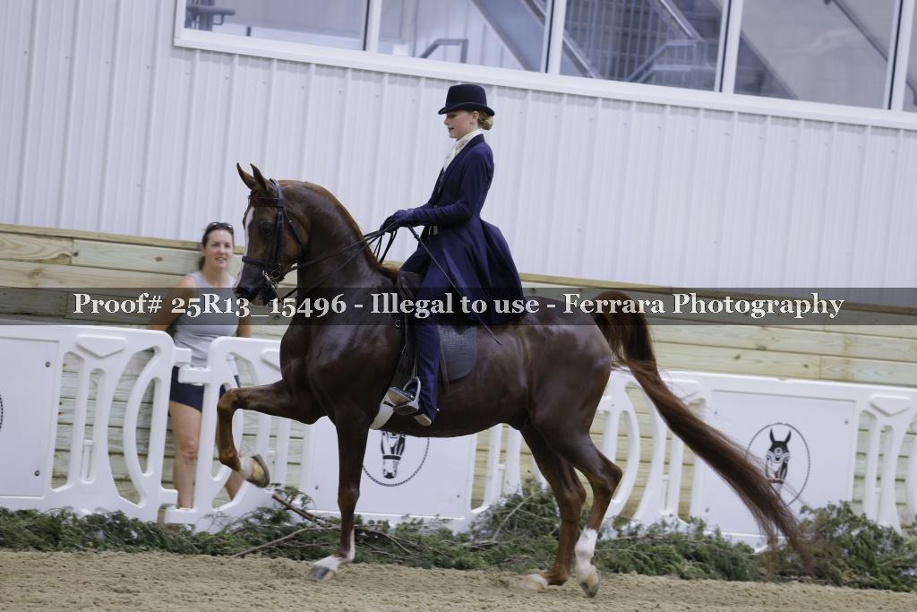 Proof Number 25R13_15496