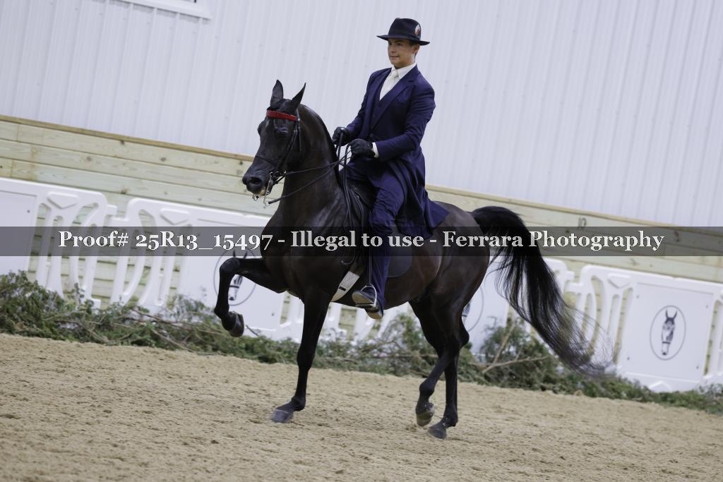 Proof Number 25R13_15497