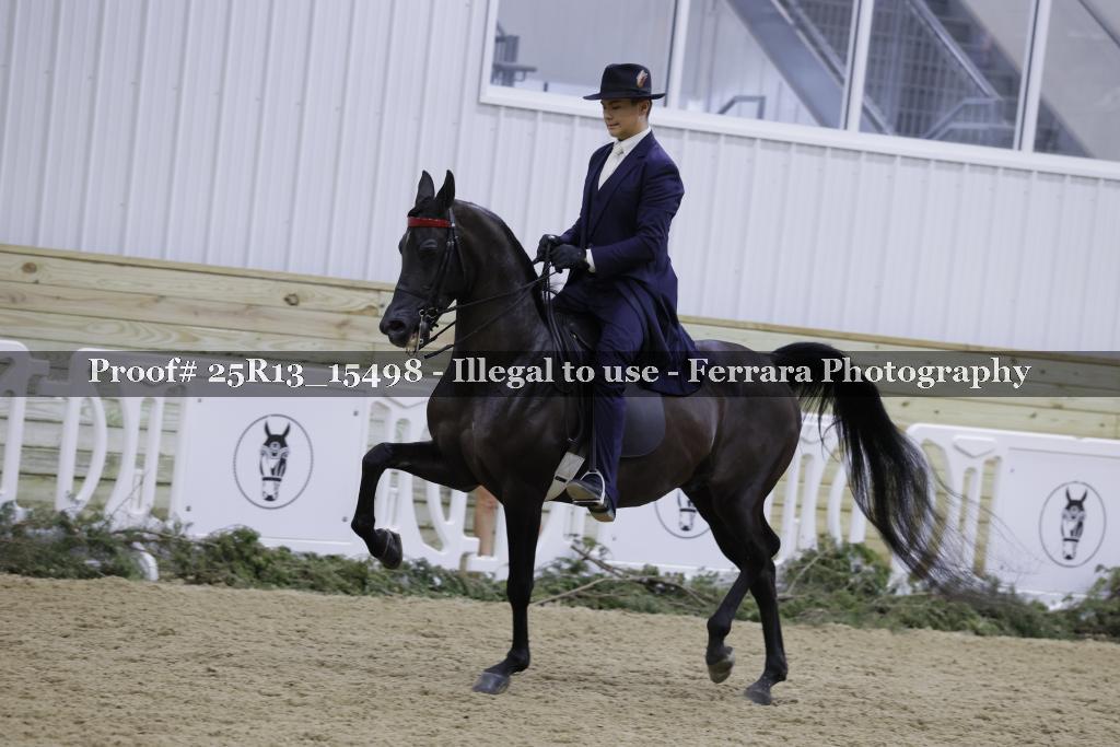 Proof Number 25R13_15498