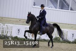 25R13_15498 thumbnail
