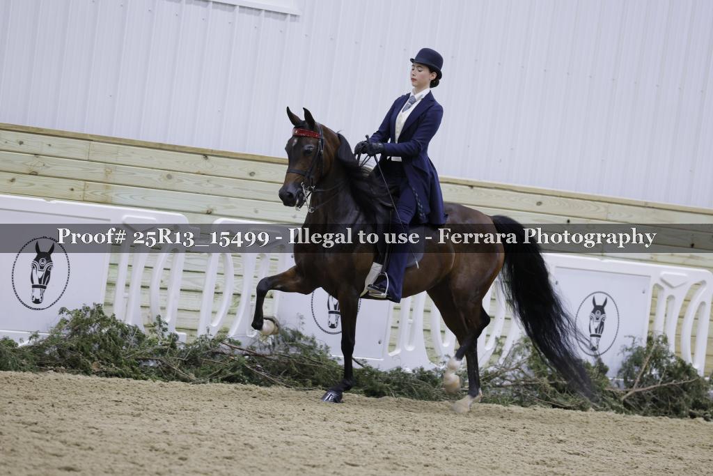 Proof Number 25R13_15499