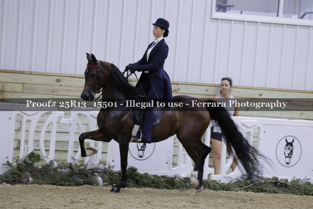 Proof Number 25R13_15501