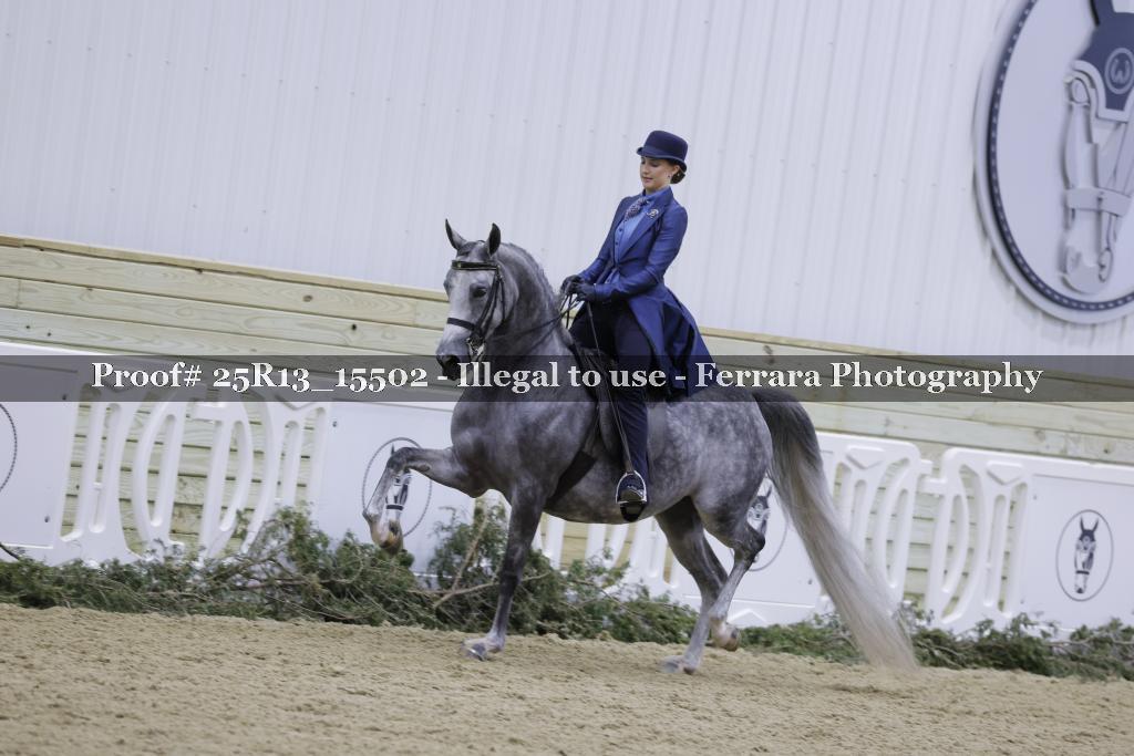 Proof Number 25R13_15502
