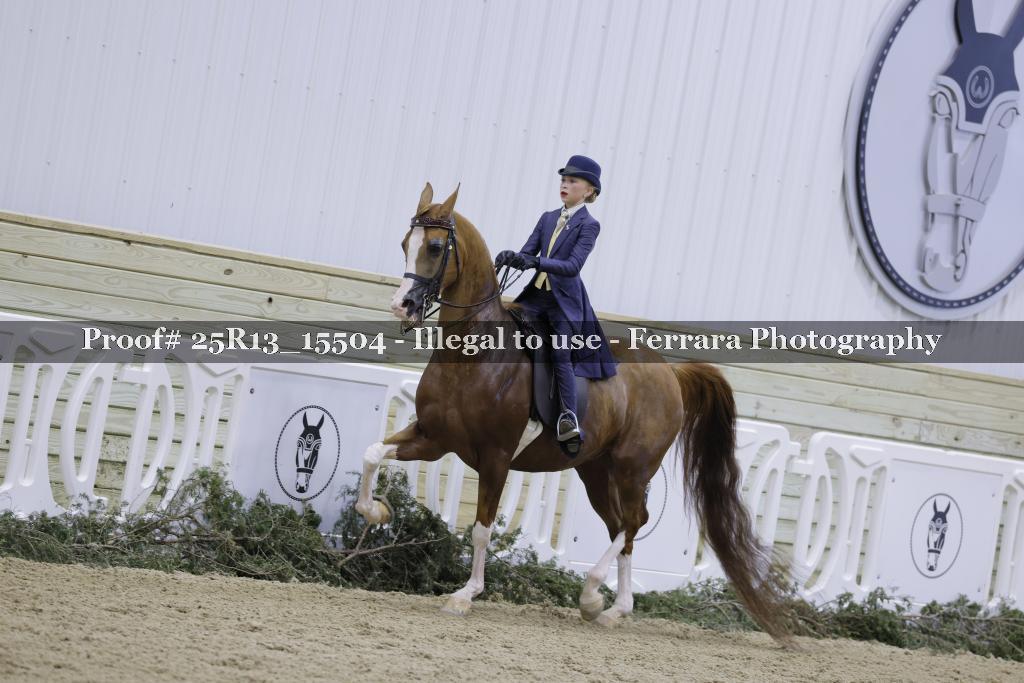 Proof Number 25R13_15504