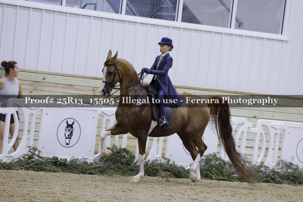 Proof Number 25R13_15505