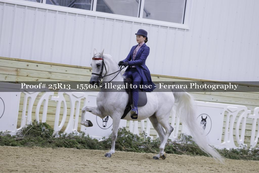 Proof Number 25R13_15506