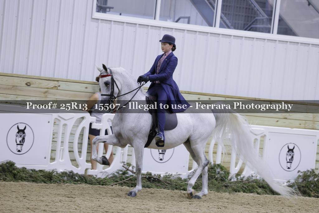 Proof Number 25R13_15507