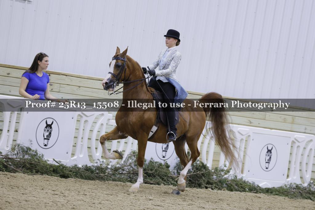 Proof Number 25R13_15508