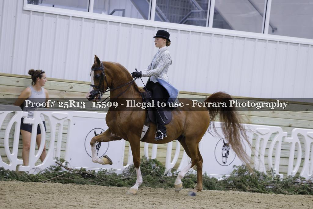 Proof Number 25R13_15509