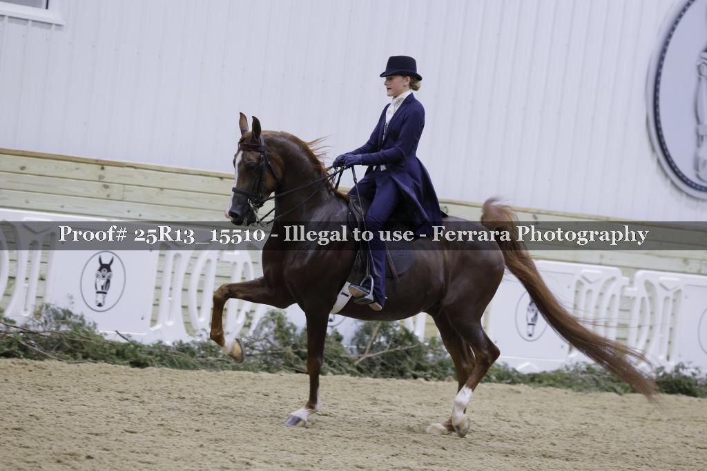 Proof Number 25R13_15510