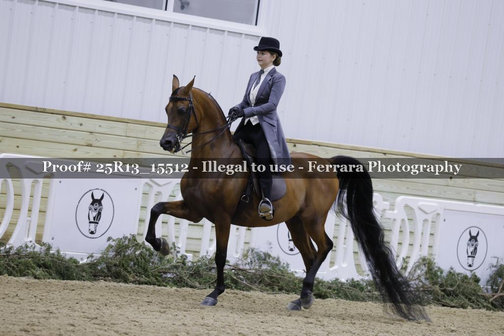 Proof Number 25R13_15512
