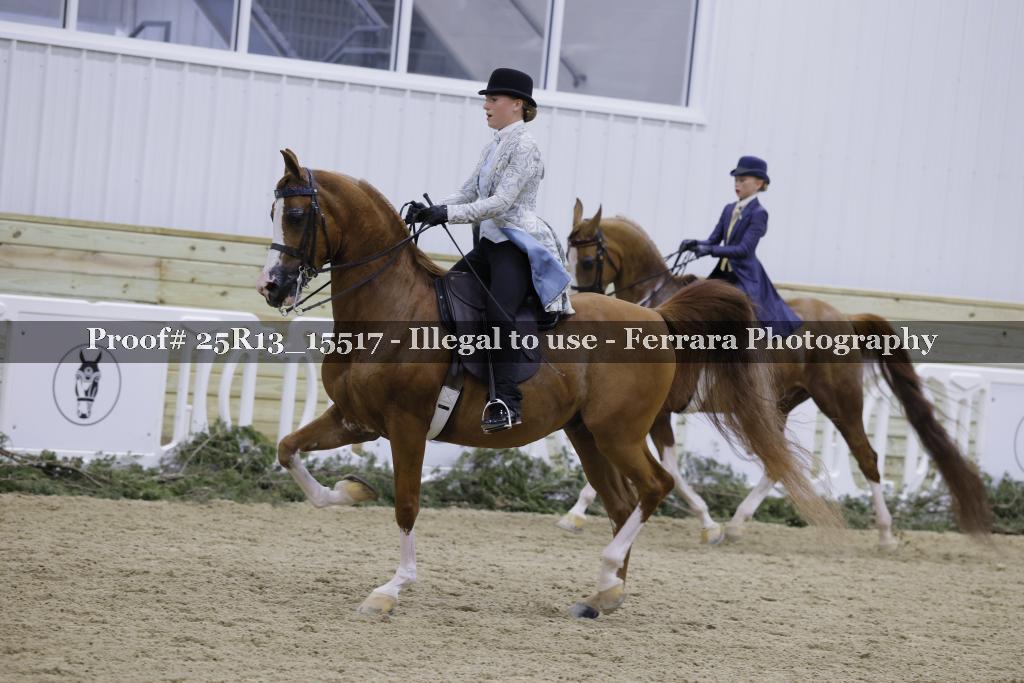 Proof Number 25R13_15517