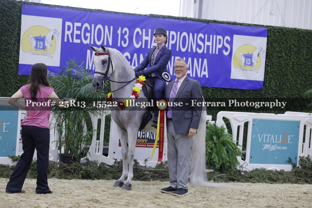Proof Number 25R13_15522