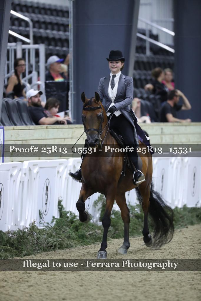 Proof Number 25R13_15531