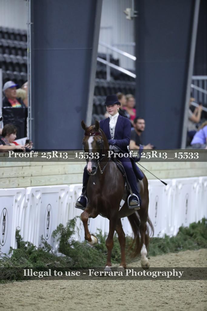Proof Number 25R13_15533