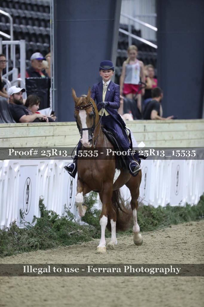 Proof Number 25R13_15535