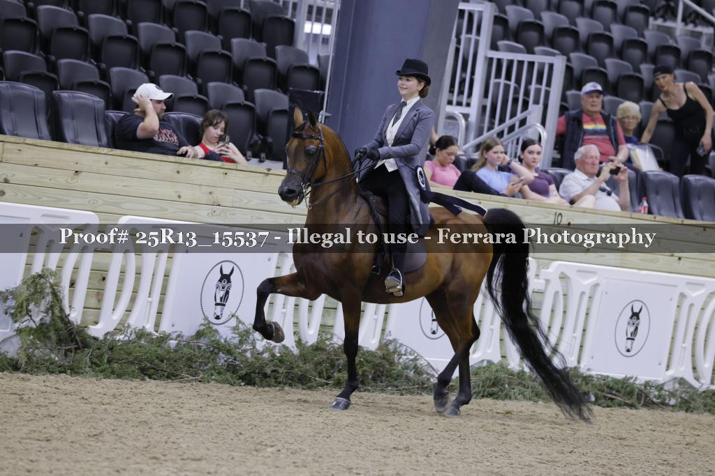 Proof Number 25R13_15537