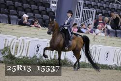 25R13_15537 thumbnail