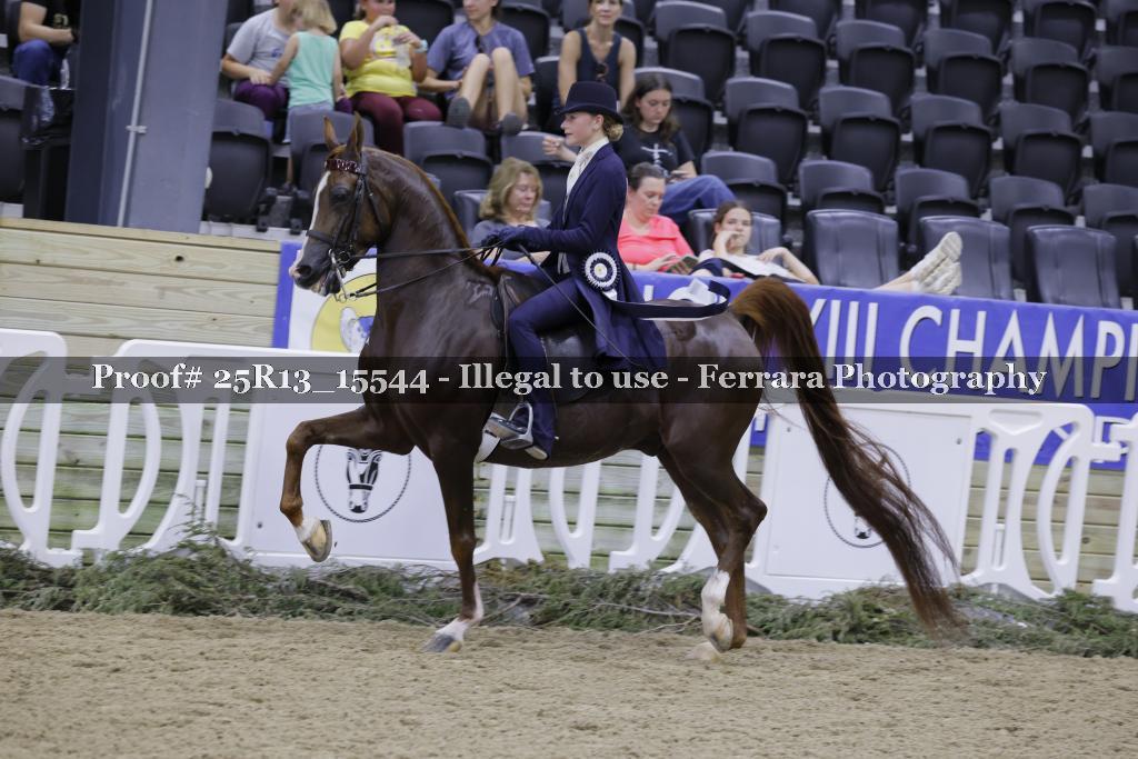 Proof Number 25R13_15544