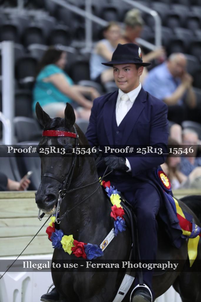 Proof Number 25R13_15546