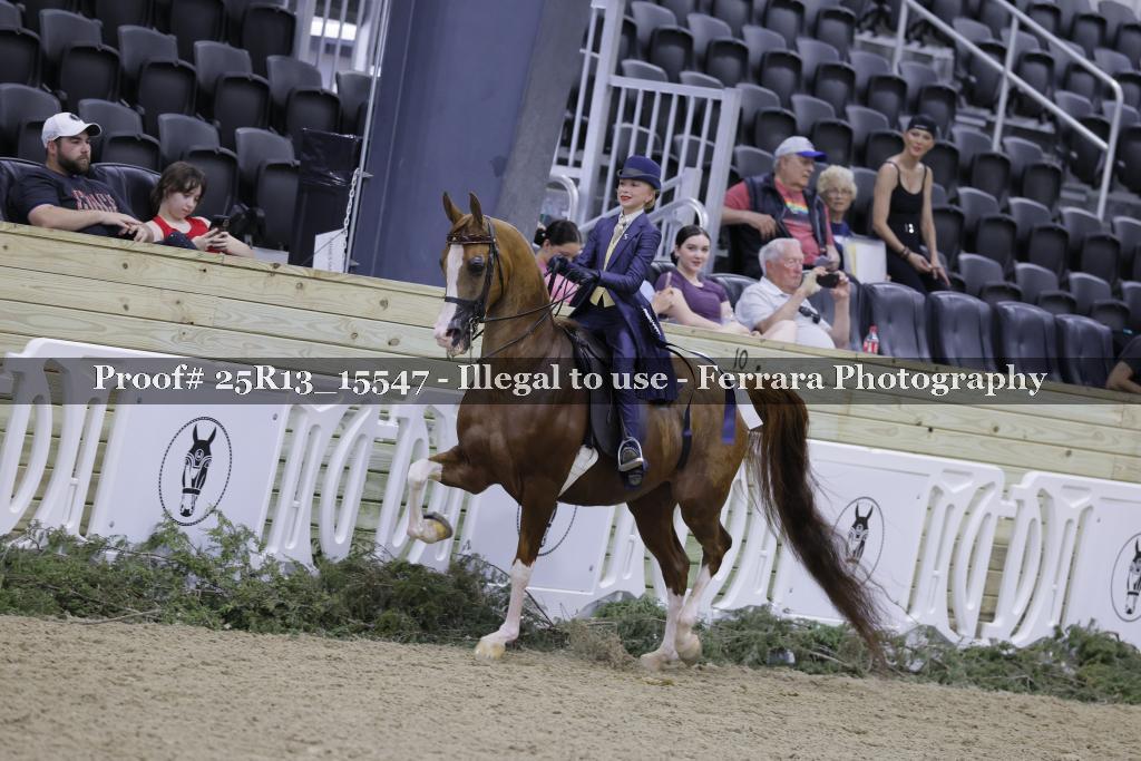 Proof Number 25R13_15547