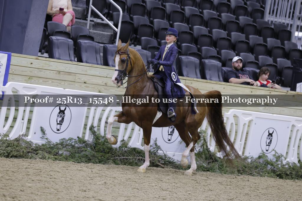Proof Number 25R13_15548