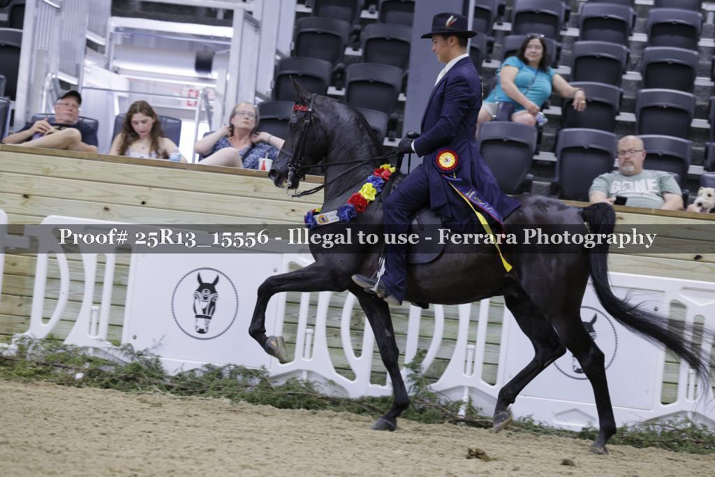 Proof Number 25R13_15556