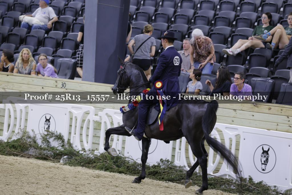 Proof Number 25R13_15557