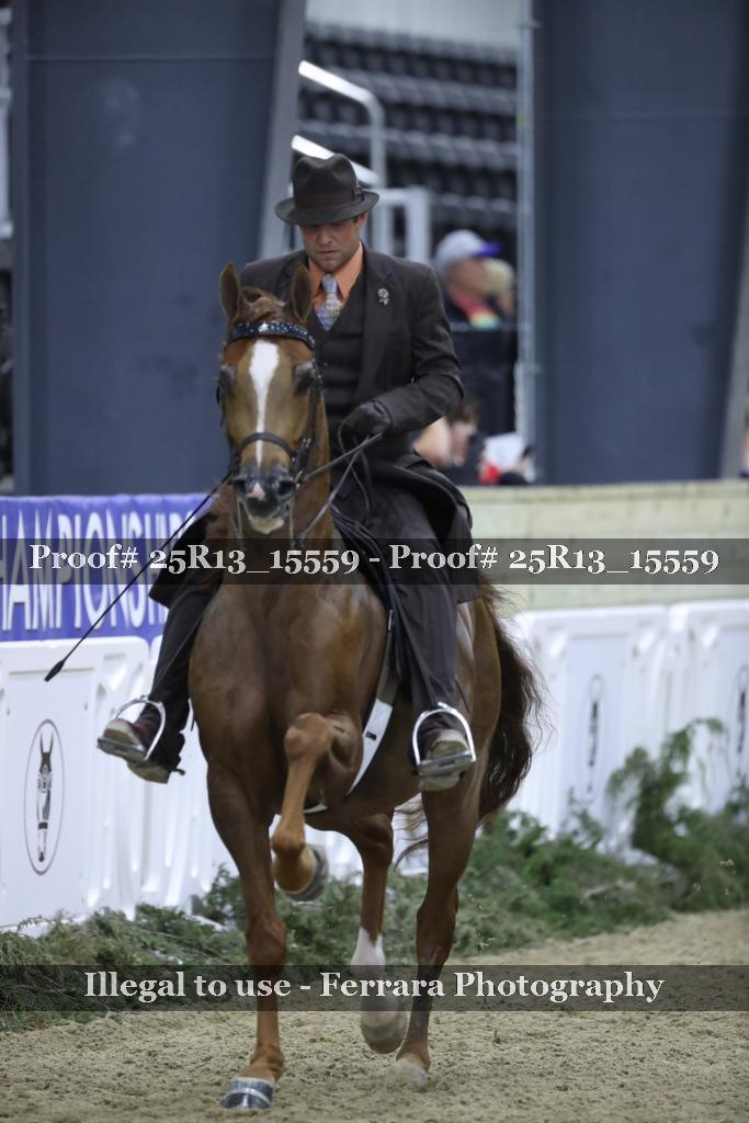 Proof Number 25R13_15559